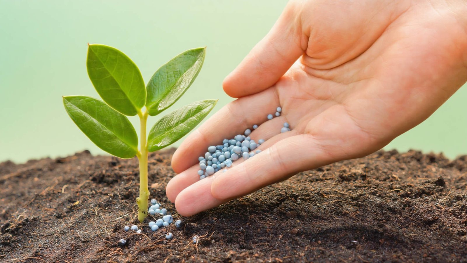 manganese carbonate used for making fertilizer