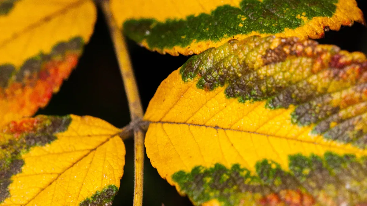 Agricultural Benefits of Manganese Sulfate