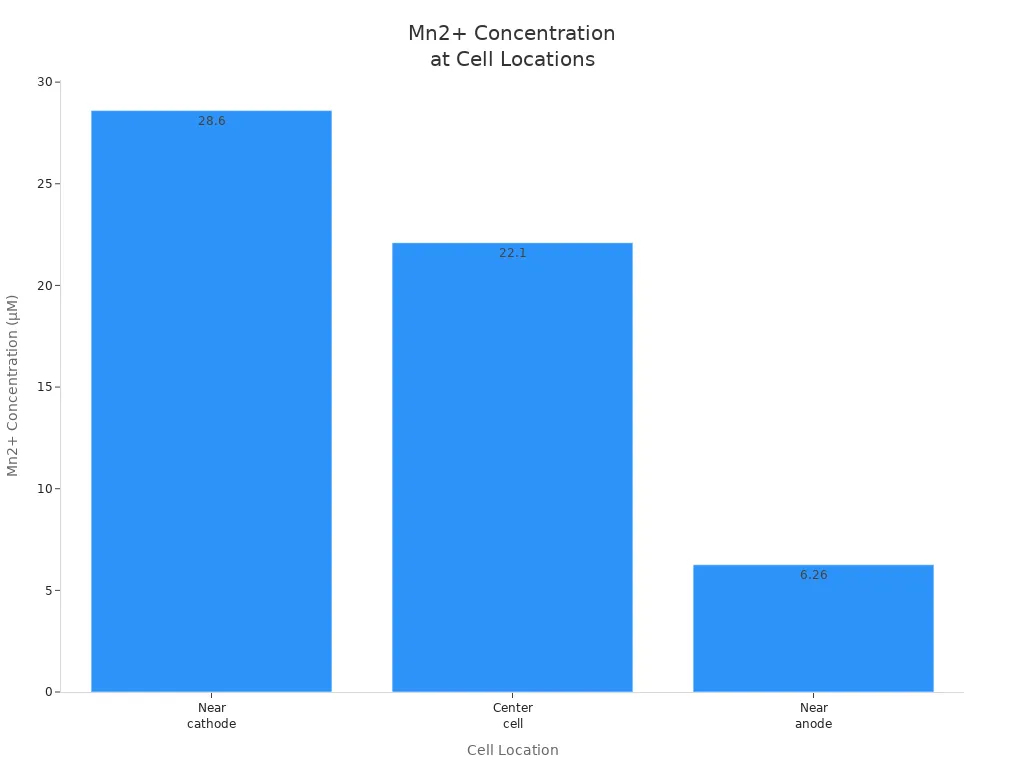 Mn2+ concentration at cell locations Mn2+ concentration at cell locations
