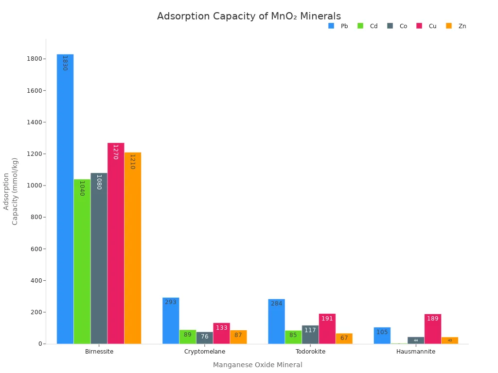 absorption capacity of MnO2 minerals