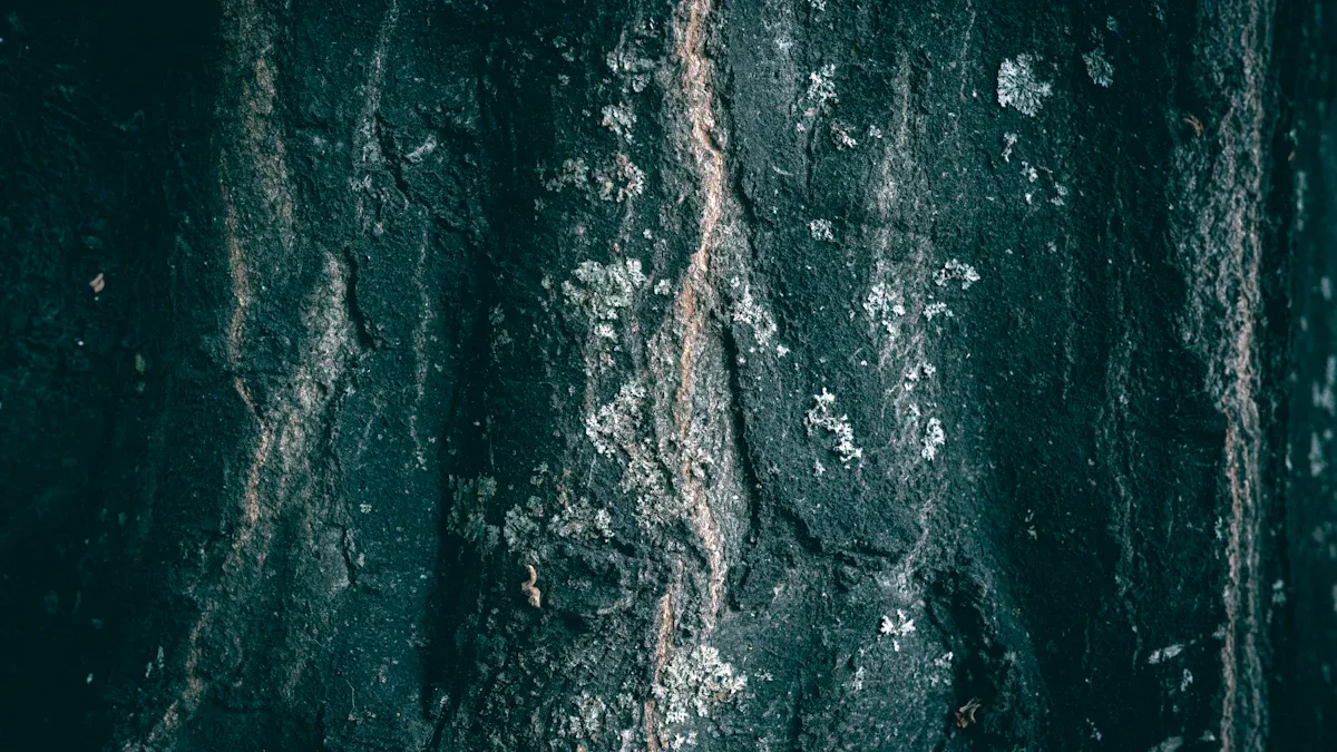 water conditions water conditions