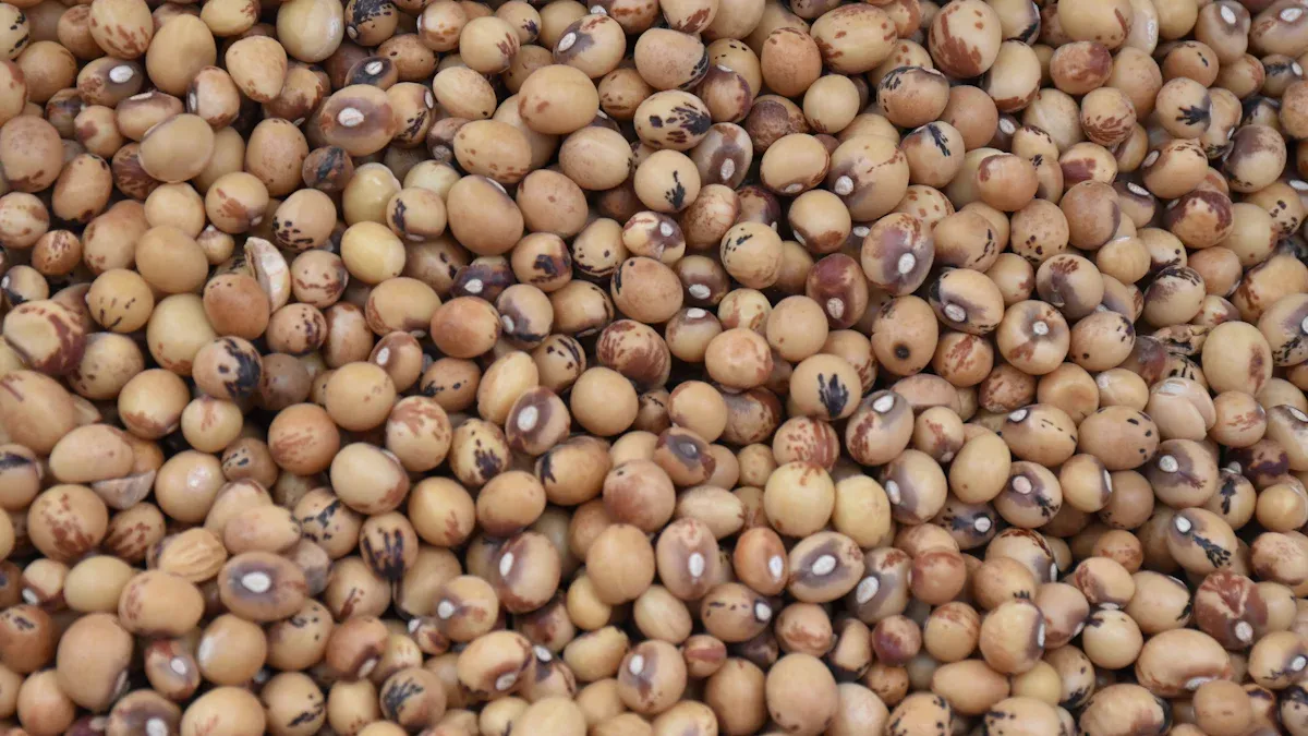 Manganese Sulfate Soybean Application